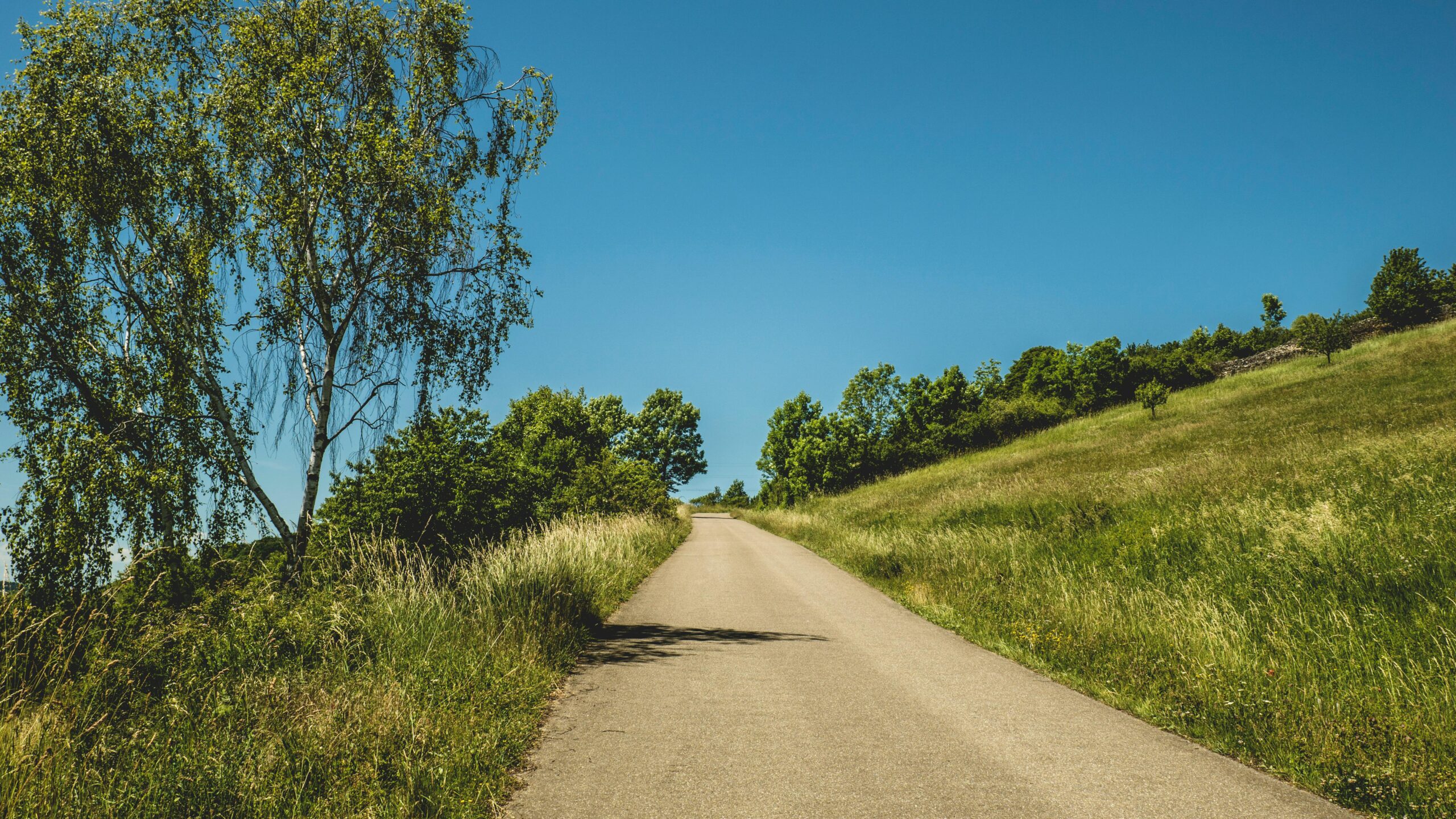 A serene rural road surrounded by lush greenery under a bright blue sky.